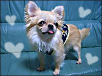 �{�������