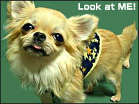 �{�������