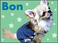 �{������