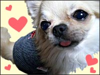 �{������