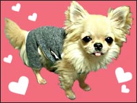 �{������