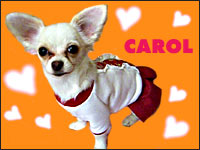 CAROL�����