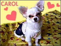 CAROL�����