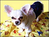 CAROL�����