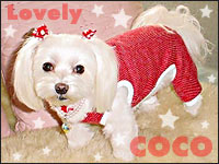 �R�R�����