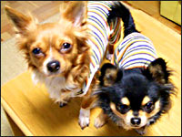 �P������E�N������