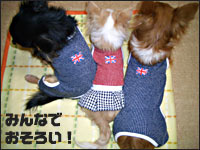 �P������E���������E�N��������p