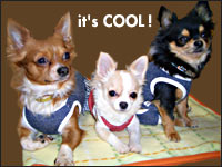 �P������E���������E�N������