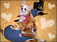 �P������E���������E�N������