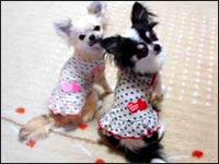 ���~�����