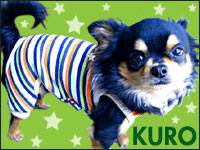 �N������