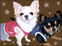 ���������E�N������