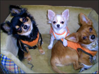 ���������E�N������E�P������