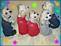 SAM�N�ESORA�N�ERIKU�N�EMELL�����EMOCA�����