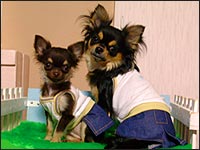 �߂�邿��񁕂���邿���