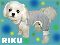 RIKU����